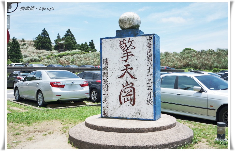 1050529陽明山擎天崗竹子湖大梯田4.jpg