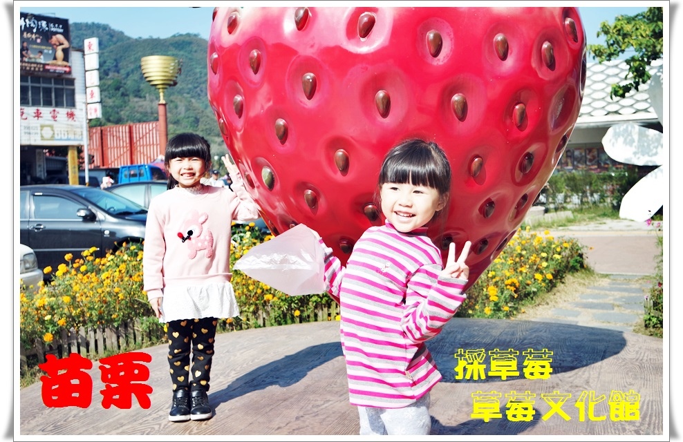 苗栗 大湖草莓1.jpg 苗栗 大湖草莓1.jpg