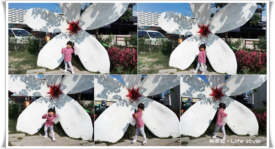 苗栗 大湖草莓4.jpg
