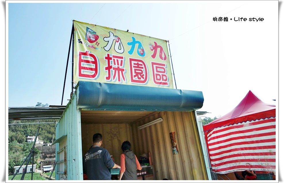 苗栗 大湖草莓12.jpg