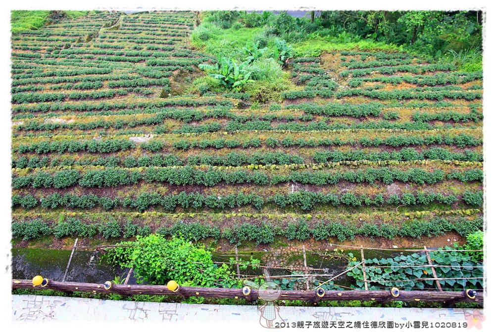 2013親子旅遊天空之橋住德欣園by小雪兒1020819IMG_6219.JPG