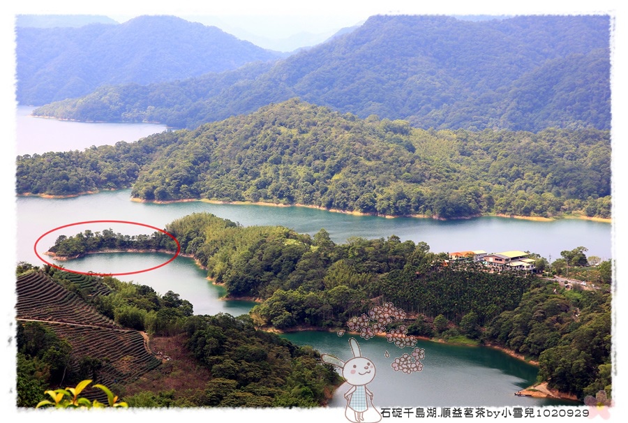 石碇千島湖.順益茗茶by小雪兒1020929IMG_8733.JPG