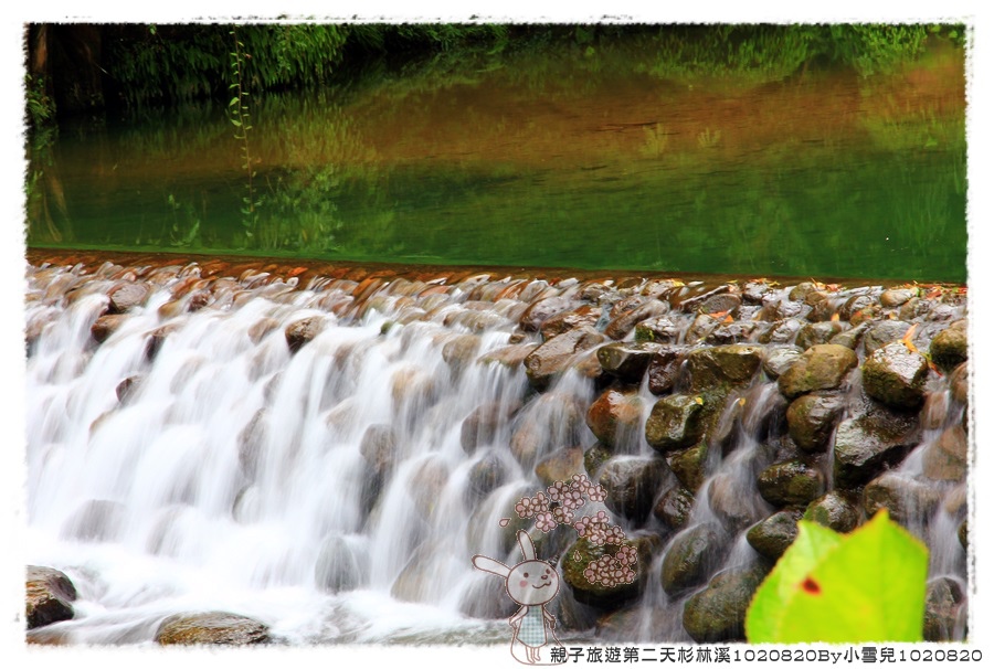 親子旅遊第二天杉林溪1020820By小雪兒1020820IMG_6273.JPG