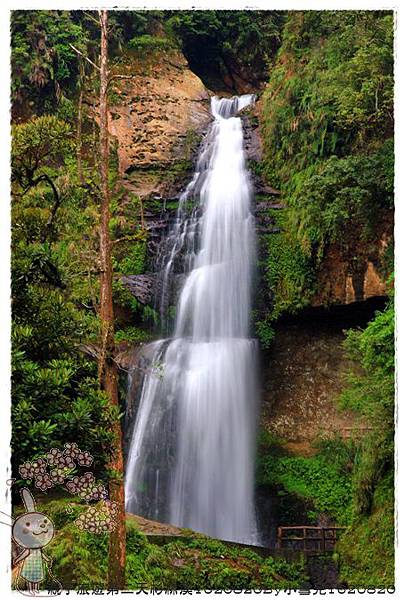 親子旅遊第二天杉林溪1020820By小雪兒1020820IMG_6282.JPG