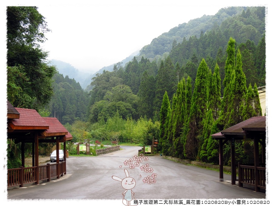 親子旅遊第二天杉林溪_藥花園1020820By小雪兒1020820IMG_2441.JPG