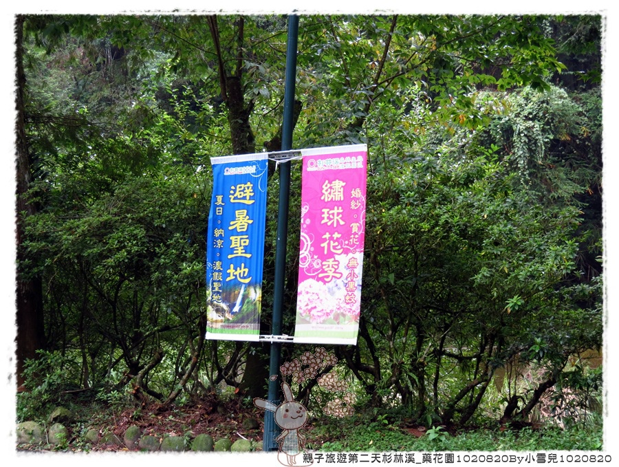 親子旅遊第二天杉林溪_藥花園1020820By小雪兒1020820IMG_2446.JPG