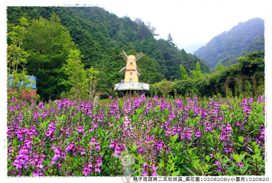 親子旅遊第二天杉林溪_藥花園1020820By小雪兒1020820IMG_6388.JPG