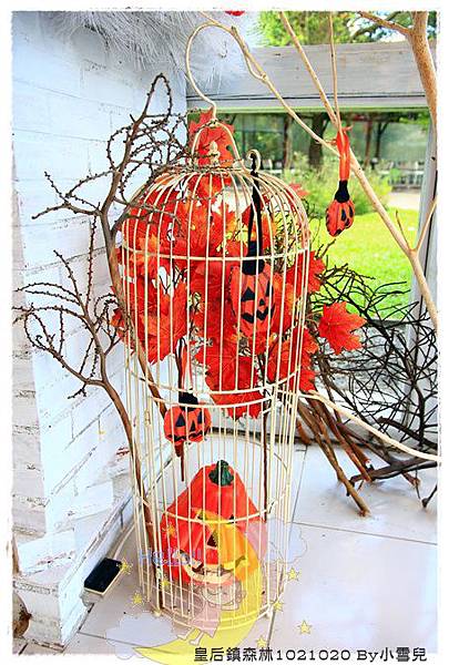 皇后鎮森林1021020 By小雪兒IMG_9021.JPG