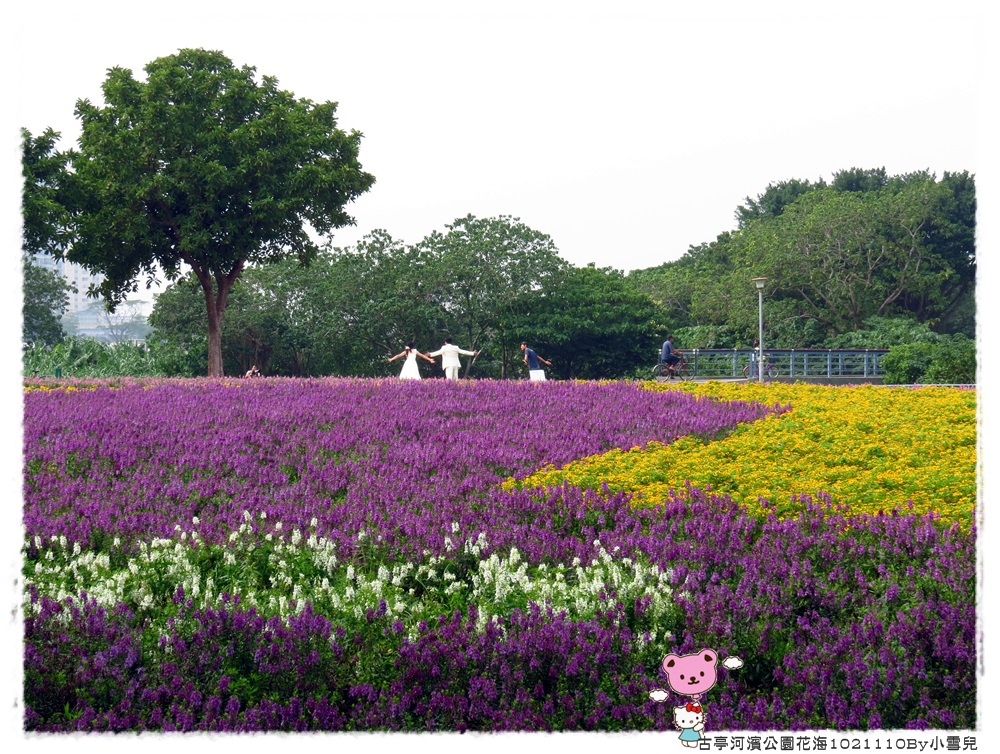 古亭河濱公園花海1021110By小雪兒IMG_5174.JPG