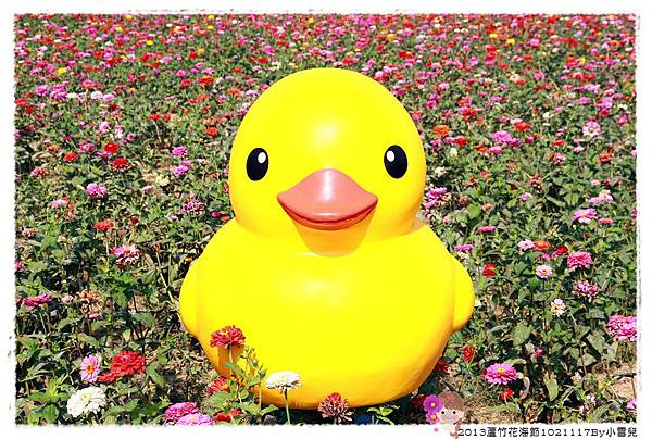 2013蘆竹花海節1021117By小雪兒IMG_0521.JPG