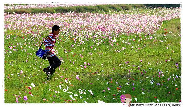 2013蘆竹花海節下1021117By小雪兒IMG_0725.JPG