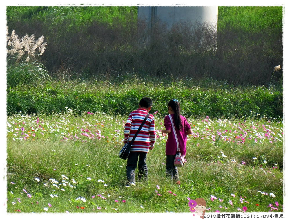 2013蘆竹花海節下1021117By小雪兒IMG_5520.JPG