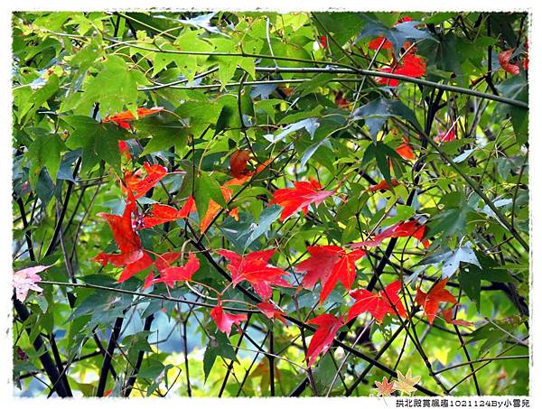 拱北殿賞楓趣1021124By小雪兒IMG_5682.JPG