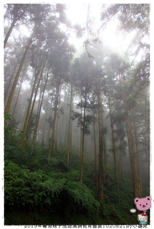 2013年暑假溪頭園區1020821By小雪兒IMG_6757.JPG