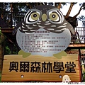 奧爾森林學堂1020812By小雪兒IMG_1827.JPG