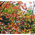 二訪拱北殿1021222By小雪兒IMG_1975.JPG