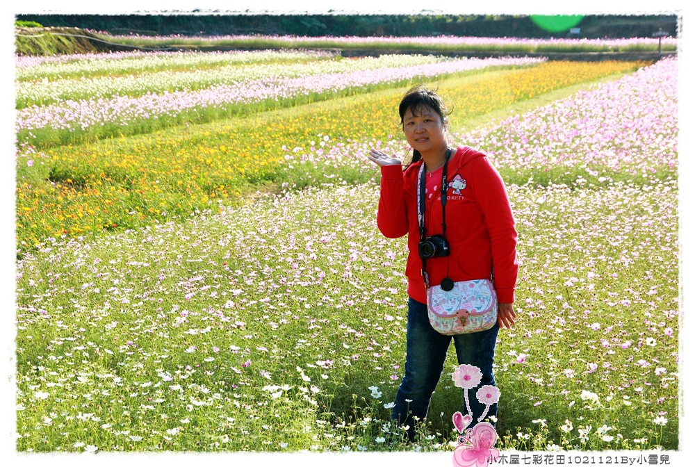 小木屋七彩花田1021121By小雪兒IMG_0951.JPG