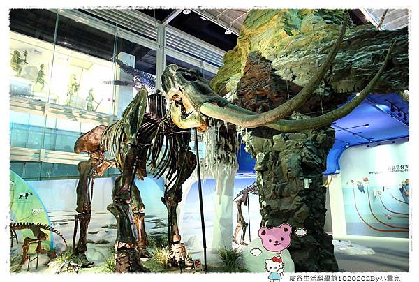 樹谷生活科學館1020202By小雪兒IMG_3115.JPG