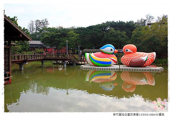 新竹麗池公園河津櫻1030216By小雪兒IMG_3485.JPG