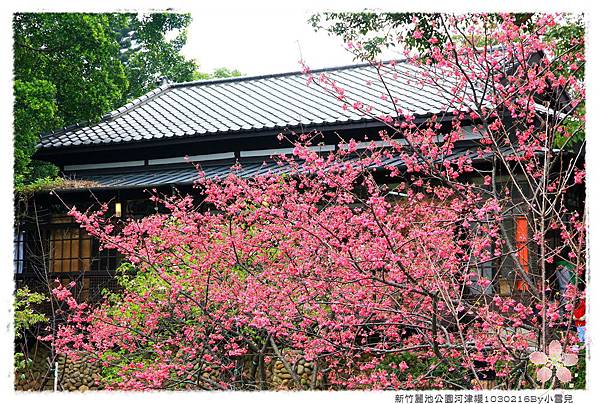 新竹麗池公園河津櫻1030216By小雪兒IMG_3499.JPG