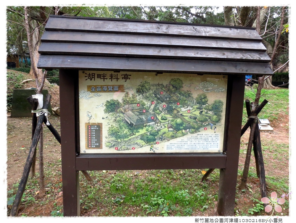 新竹麗池公園河津櫻1030216By小雪兒IMG_7134.JPG