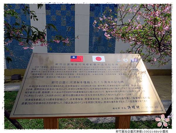 新竹麗池公園河津櫻1030216By小雪兒IMG_7214.JPG