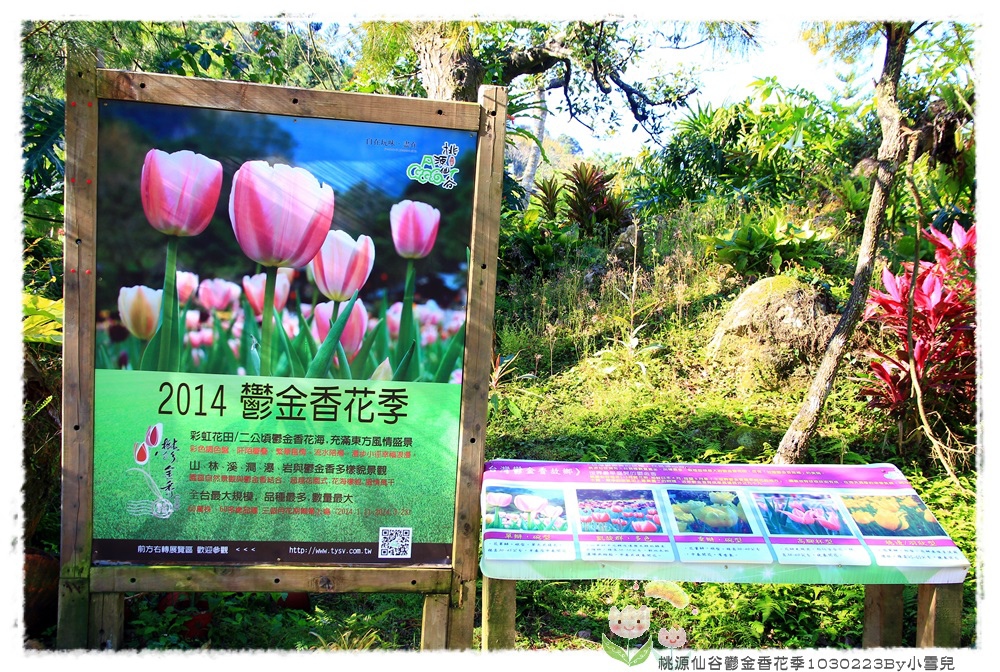 桃源仙谷鬱金香花季1030223By小雪兒IMG_3783.JPG