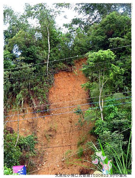大黑松小倆口元首館1020822 By小雪兒IMG_2930.JPG