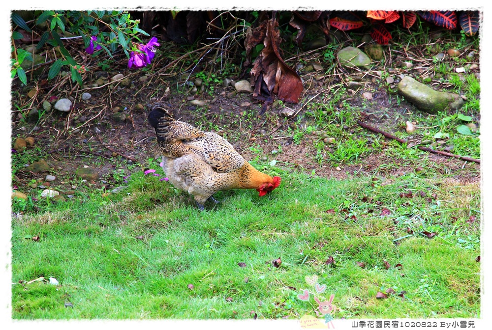 山季花園民宿1020822 By小雪兒IMG_7403.JPG