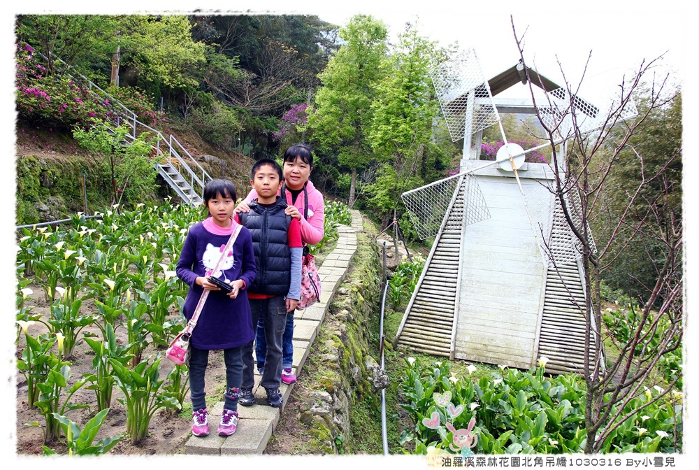 油羅溪森林花園北角吊橋1030316 By小雪兒IMG_4908.JPG