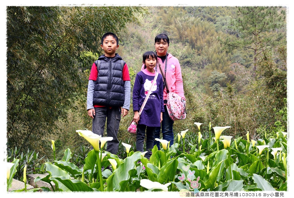 油羅溪森林花園北角吊橋1030316 By小雪兒IMG_4931.JPG