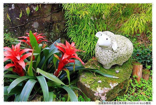 油羅溪森林花園北角吊橋1030316 By小雪兒IMG_4962.JPG