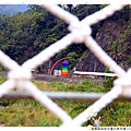 油羅溪森林花園北角吊橋1030316 By小雪兒IMG_5005.JPG