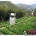 油羅溪森林花園北角吊橋1030316 By小雪兒IMG_7835.JPG