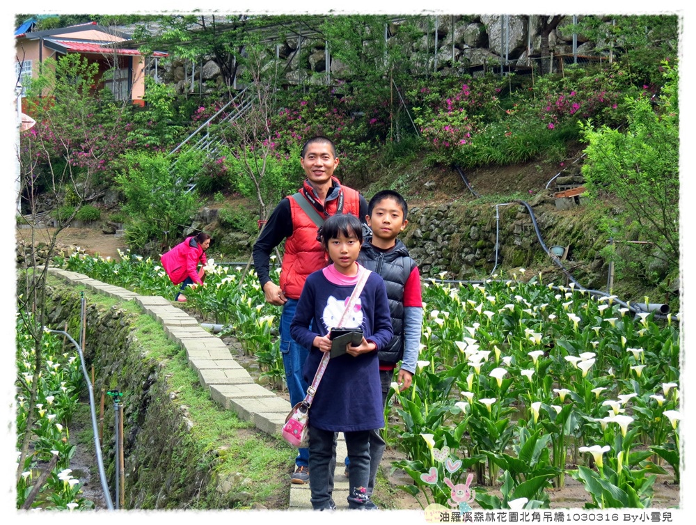 油羅溪森林花園北角吊橋1030316 By小雪兒IMG_7840.JPG