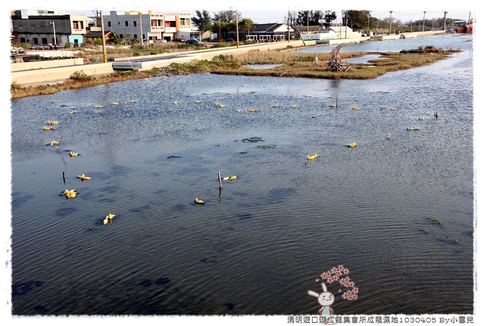 By小雪兒成龍集所IMG_5368 2014 04 07 17_15_49.JPG