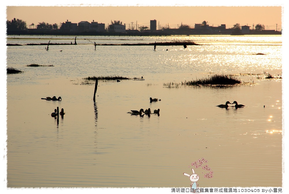 By小雪兒成龍集所IMG_5387 2014 04 07 17_20_21.JPG