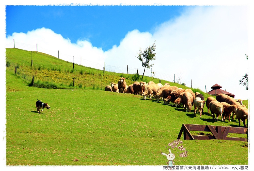 親子旅遊第六天清境農場1020824 By小雪兒IMG_7993 2014 04 18 17_01_43.JPG