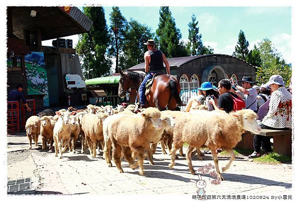 親子旅遊第六天清境農場1020824 By小雪兒IMG_8000 2014 04 18 17_02_45.JPG