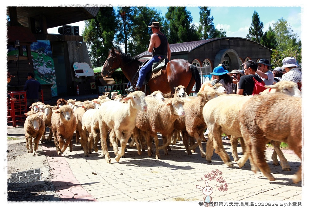 親子旅遊第六天清境農場1020824 By小雪兒IMG_8001 2014 04 18 17_02_54.JPG