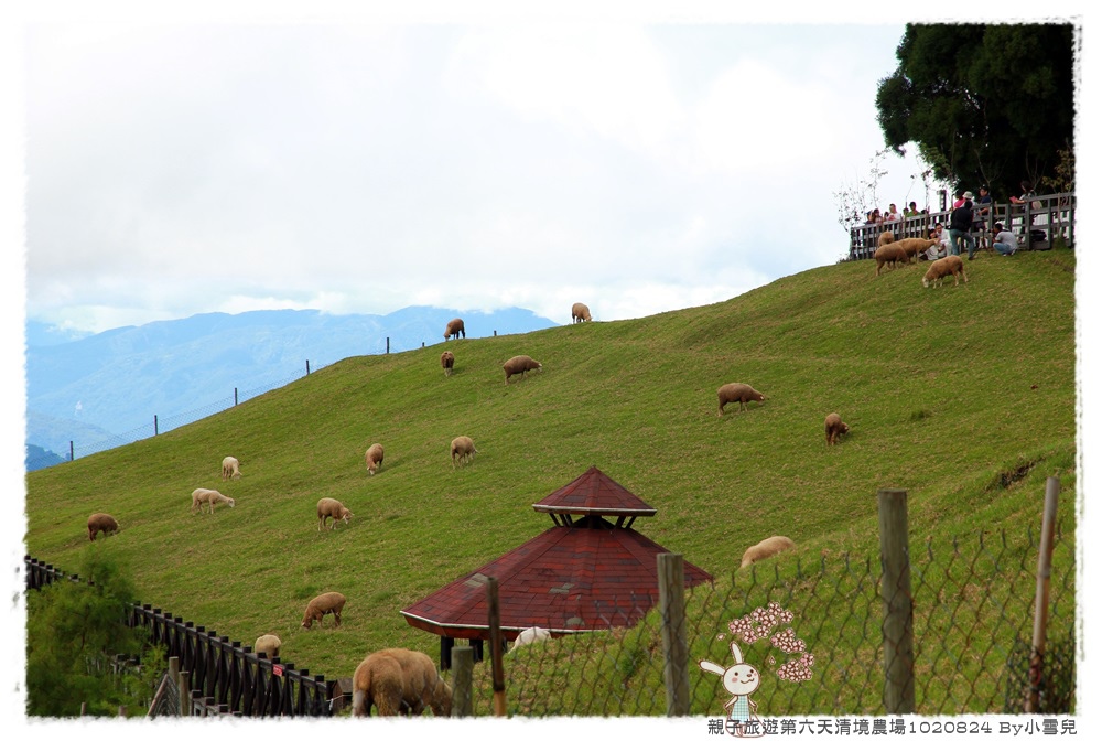 親子旅遊第六天清境農場1020824 By小雪兒IMG_8102 2014 04 18 17_40_37.JPG