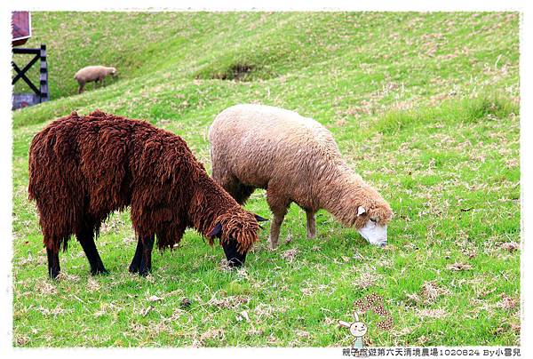 親子旅遊第六天清境農場1020824 By小雪兒IMG_8110 2014 04 18 17_41_49.JPG