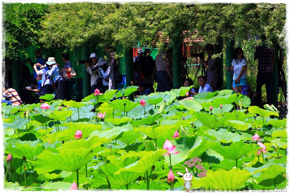 台北植物園布政使司文物館 by小雪兒1030511IMG_7049.JPG