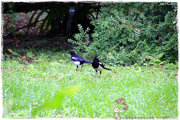 台北植物園布政使司文物館 by小雪兒1030511IMG_7153.JPG