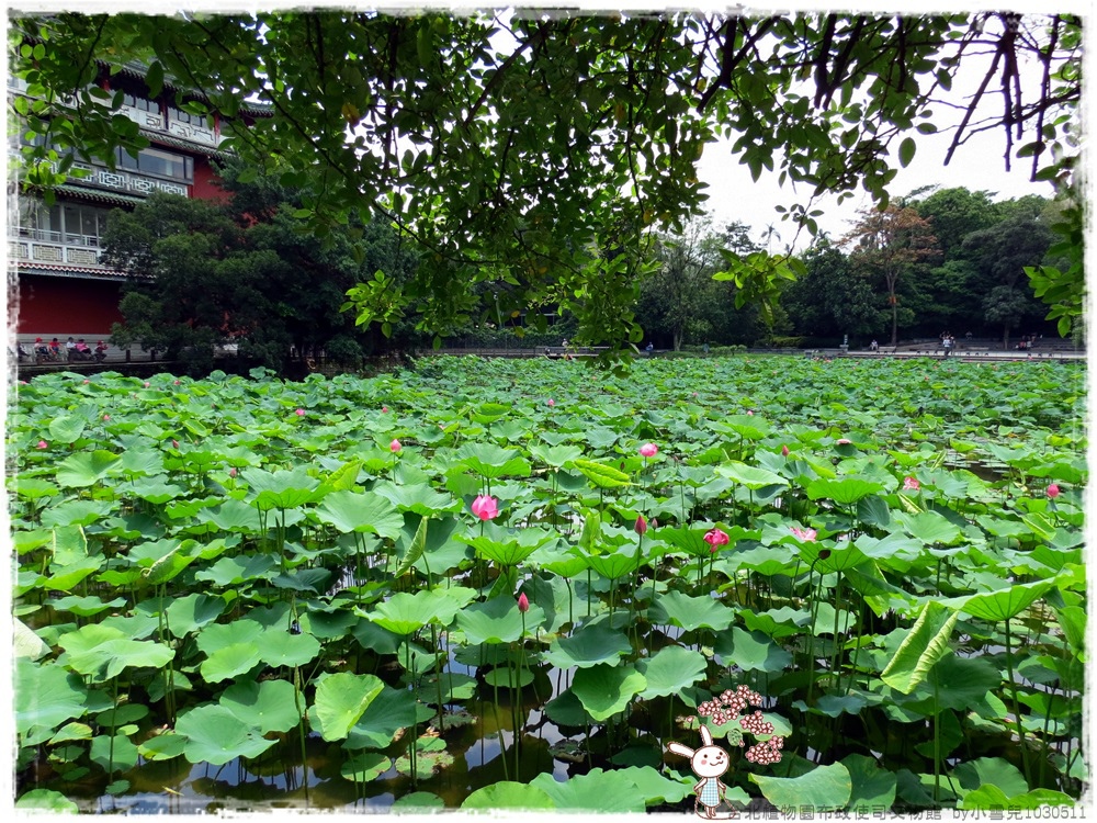 台北植物園布政使司文物館 by小雪兒1030511IMG_9202.JPG