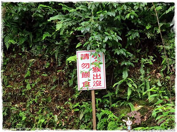 宜蘭仁山植物園by小雪兒1030426IMG_8608.JPG