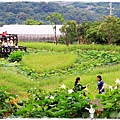 白石湖吊橋穠舍田園咖啡by小雪兒1030525IMG_7404.JPG