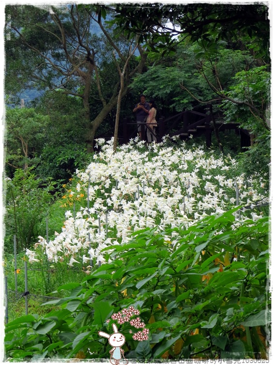 白石湖吊橋穠舍田園咖啡by小雪兒1030525IMG_9391.JPG