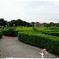 遊花東知卡宣森林公園 by小雪兒1030811IMG_2336.JPG
