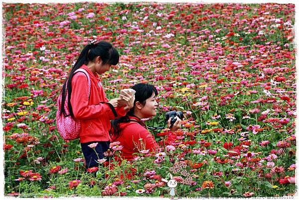 蘆竹花彩節.迷失的小熊by小雪兒1031115IMG_5274.JPG